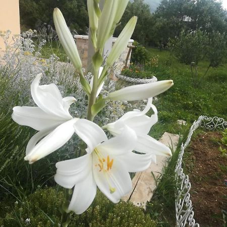 Castello Flower Apartment Kaštela Buitenkant foto