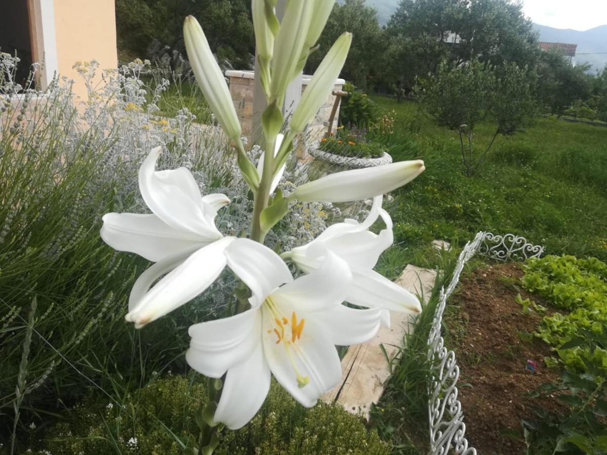 Castello Flower Apartment Kaštela Buitenkant foto